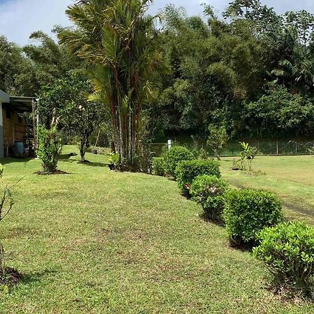972B-Coin De Verdure Au Pied De La Montagne Pelee Le Morne-Rouge المظهر الخارجي الصورة