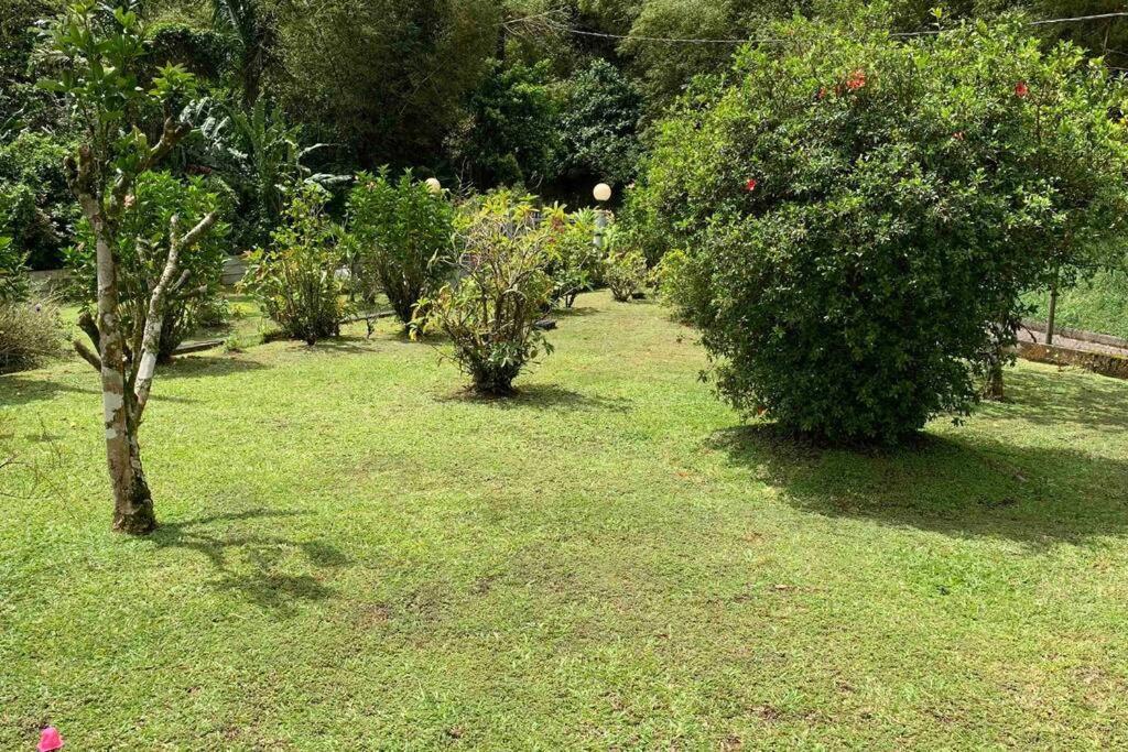 972B-Coin De Verdure Au Pied De La Montagne Pelee Le Morne-Rouge المظهر الخارجي الصورة