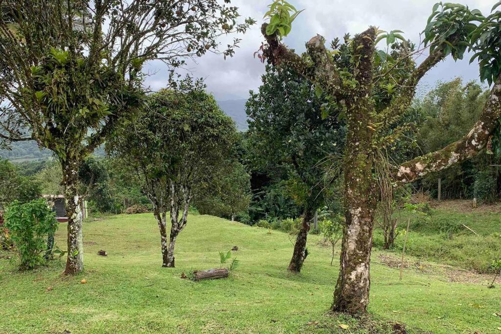 972B-Coin De Verdure Au Pied De La Montagne Pelee Le Morne-Rouge المظهر الخارجي الصورة
